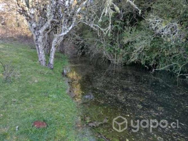 2,3 hectáreas de terreno, con humedales