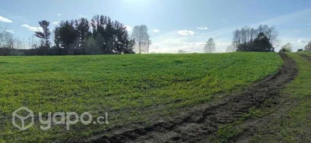 Se vende media hectárea calidad indígena