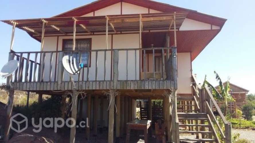 Guanaqueros Cabaña Año corrido