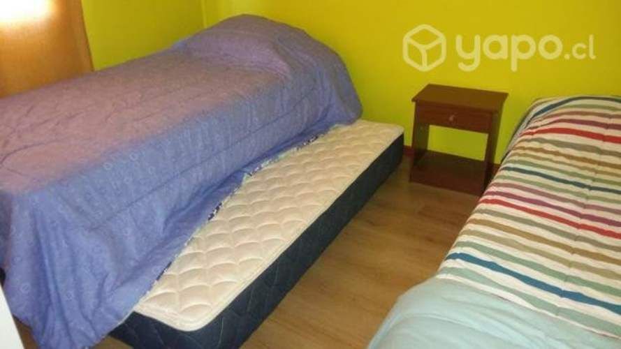 Guanaqueros Cabaña Año corrido