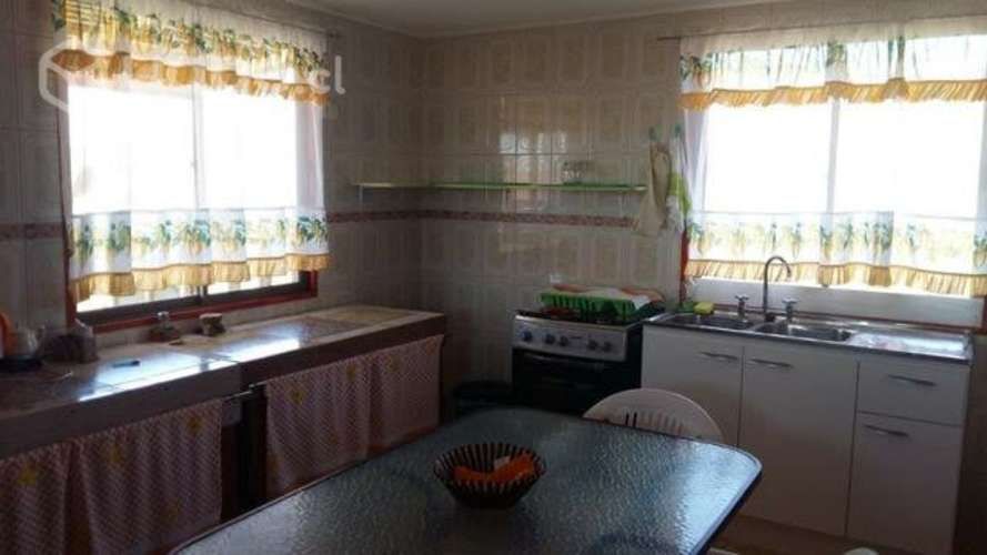 Guanaqueros Cabaña Año corrido