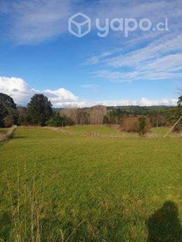 Parcela Puyehue a 5 min del lago