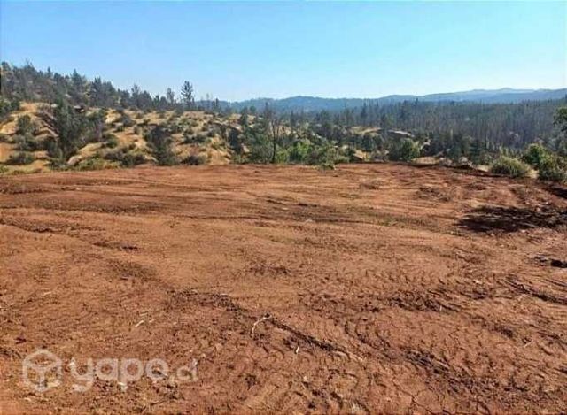 Vendo terreno en quillon 5.000 metros cuadrados