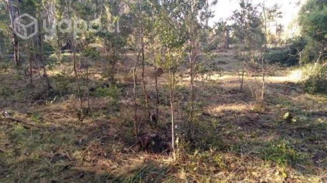 Parcela con vertiente agua