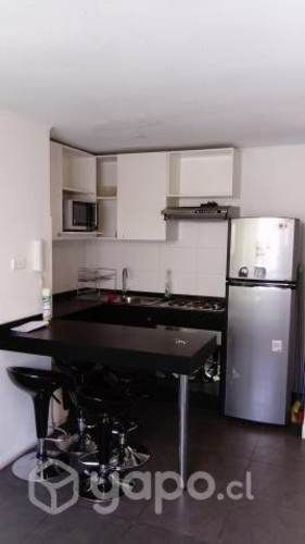 Arriendo Departamento (60 m2. M. Diego de Almagro)