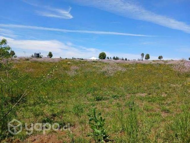 Venta de terreno 12500 m2 en Lautaro