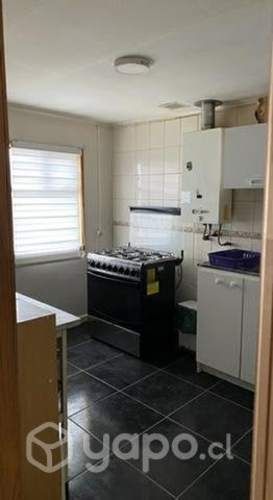 Casa esquina aves australes