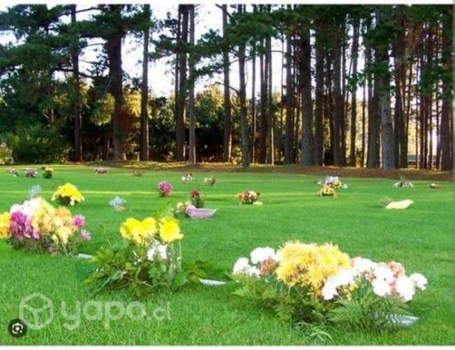 Vendo terreno parque san pedro