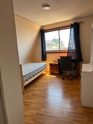 Arriendo a Universitarios