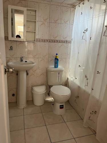 Arriendo a Universitarios