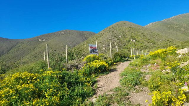 VENTA - Parcela de 5006 Mt2 en Arrayán Costero - LA SERENA
