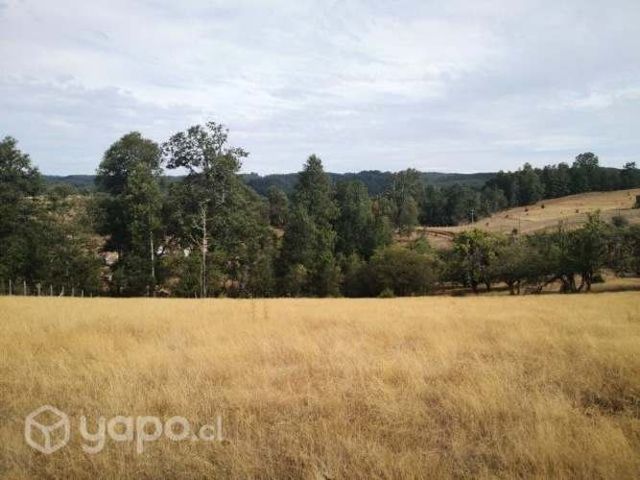 Parcela 5340m2 en Chancoyán, a 24 kms de Valdivia