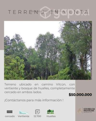 Terreno Camino a Vilcun
