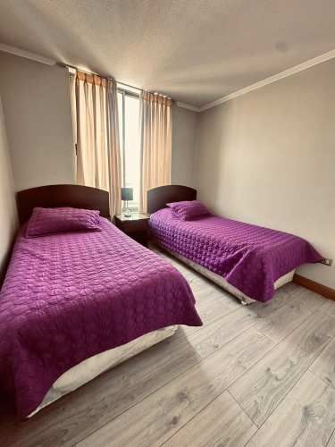 Verano en iquique depto frente al mar 3d 2b