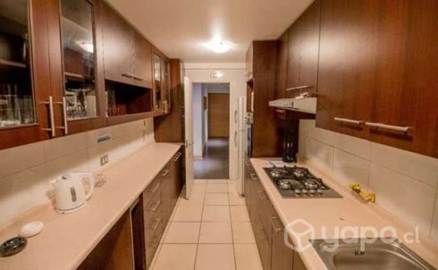 Verano en iquique depto frente al mar 3d 2b