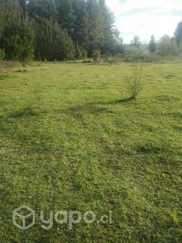 Terreno 5000mts², Yungay, Salto del itata