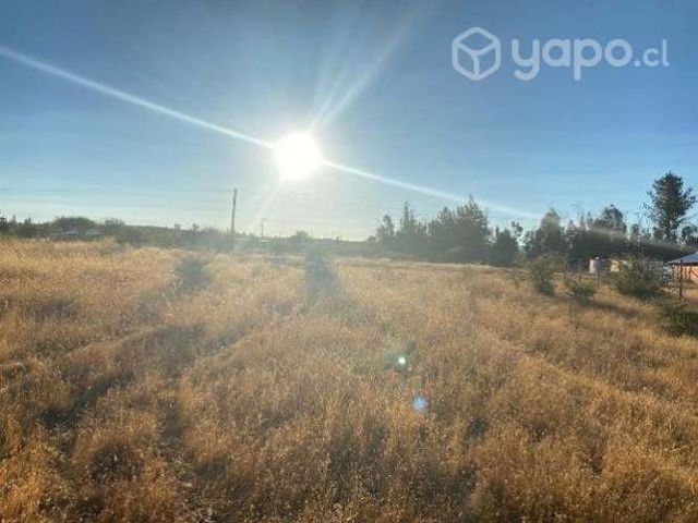 Terreno 5.000 mts2 Cauquenes