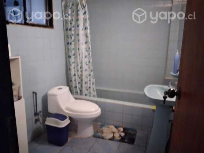 Universitario-a pieza