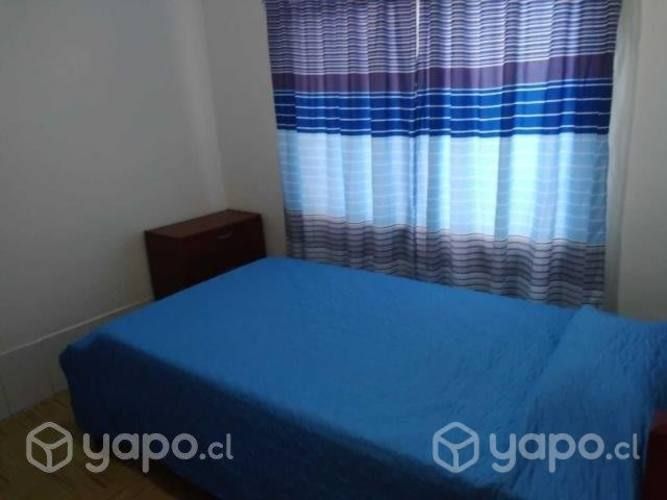 Universitario-a pieza