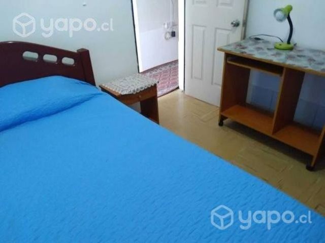 Universitario-a pieza