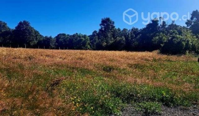 Parcela en Llanquihue