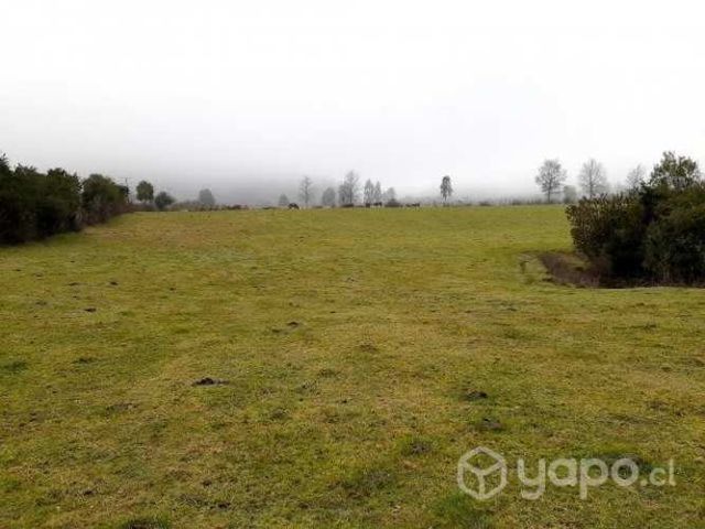 Hermoso terreno en sector Cuyinhue