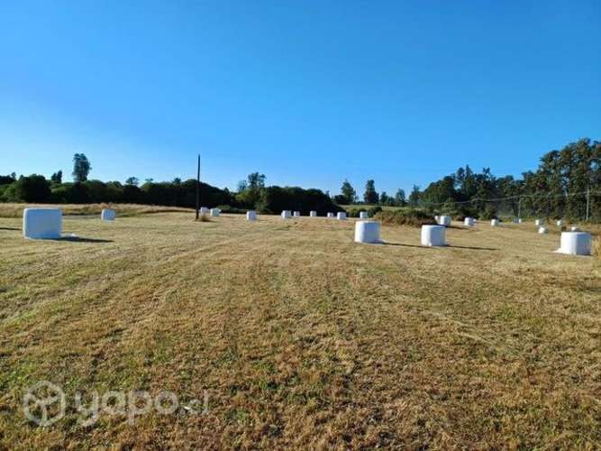 Parcela km 15 Osorno- pto octay