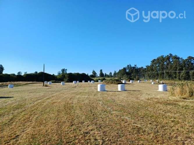 Parcela km 15 Osorno- pto octay