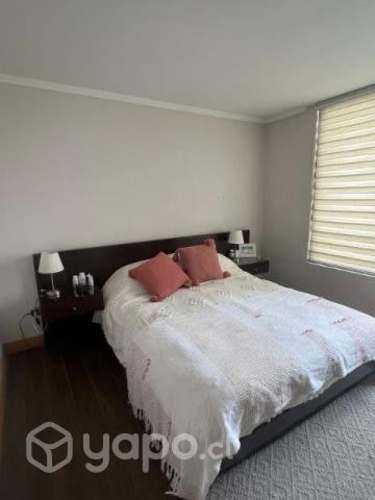 Arriendo departamento año corrido