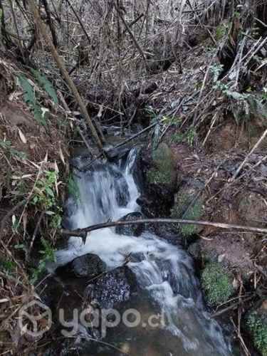 Terreno 2 hectáreas