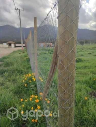 Parcela en curacaví