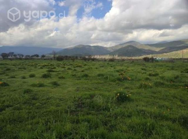 Parcela en curacaví