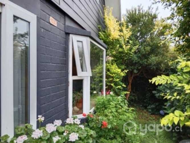 Alfonso brintrup …