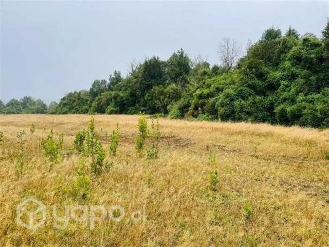 Parcela linea nueva acceso rio maullin …