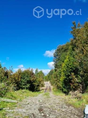 Parcelas con Rol propio