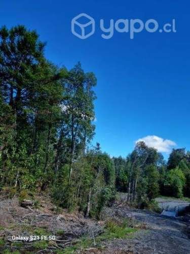 Parcelas con Rol propio