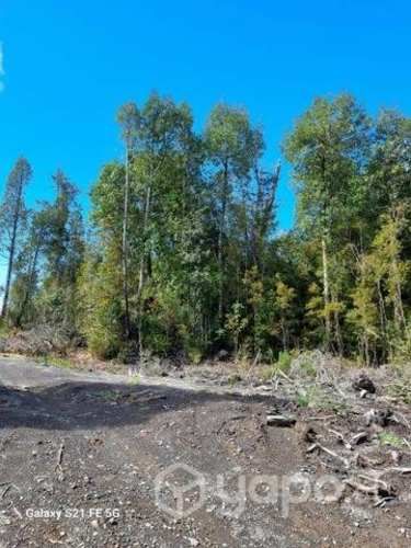 Parcelas con Rol propio