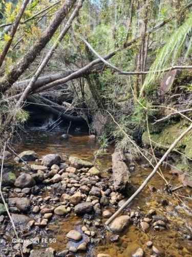 Parcelas con Rol propio