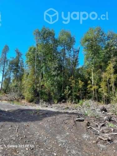 Parcelas con Rol propio