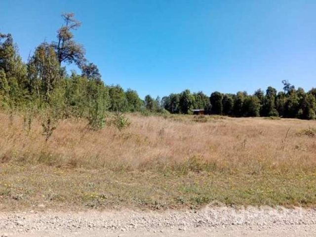 Parcelas frutillar …