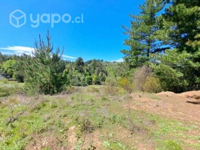 Parcela 1 hectaria florida 8va region