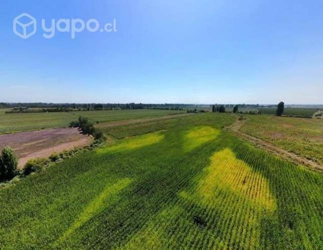 PARCELA, SAN JAVIER, MAULE, 12 Ha