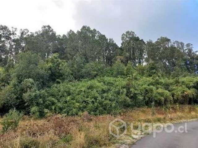 Parcela en venta en puerto varas &#8230;