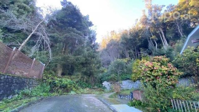 Terreno En Av. Francesa, Pedro De Valdivia