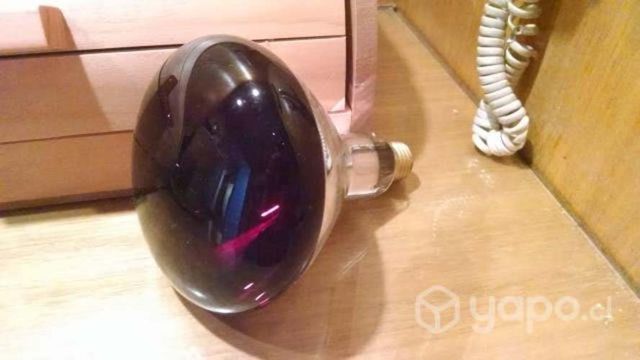 Ampolleta infrarroja calefactora 150 watts