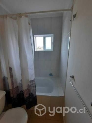 Arriendo Depto Nuevo 1D+1B Pelluco