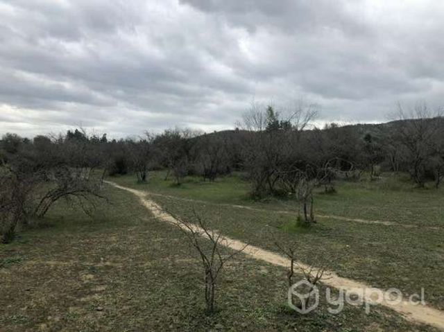 Se vende o arriendo de sitio en Las Cabras cerca del lago Rapel