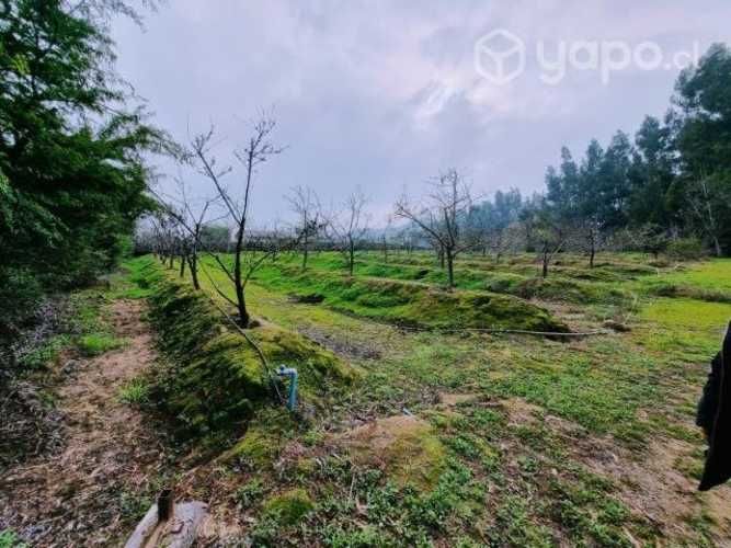 Venta terreno, Codigua Melipilla