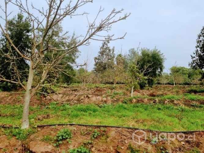 Venta terreno, Codigua Melipilla