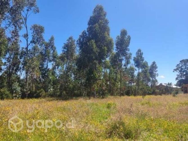 Vendo proyector turístico